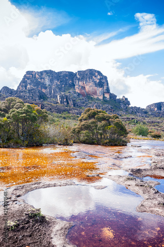 Beautiful view of the Auyantepuy. Canaima Natinal Park, Venezuela- Bolívar State. Auyantepuy is the biggest Tepuy in La Gran Sabana.  photo