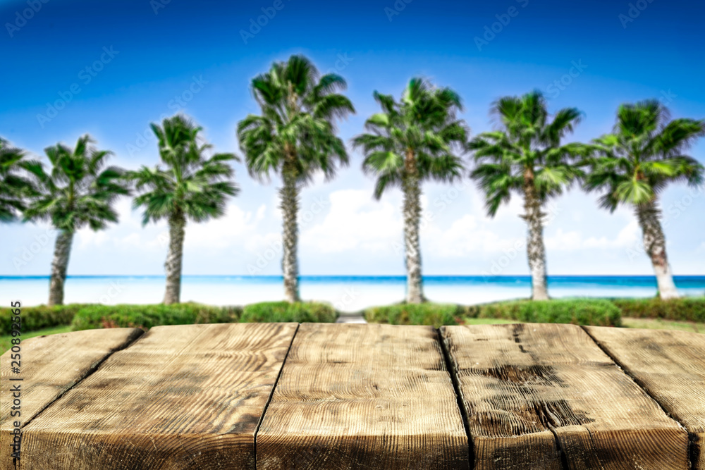desk of free space and coco palms on beach desk of free space and coco palms on beach