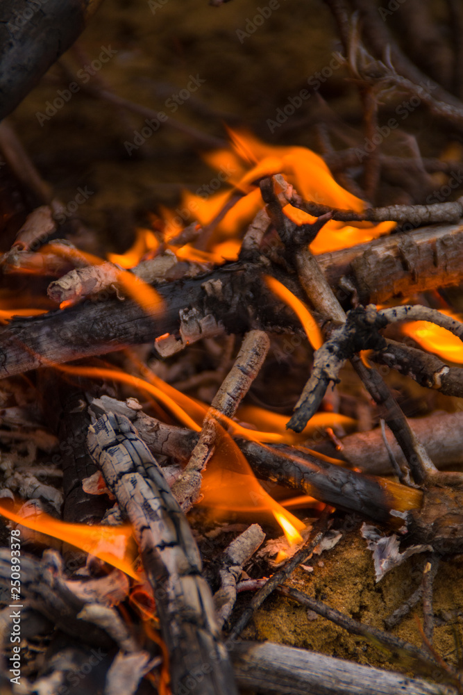 Burning coals in the fire