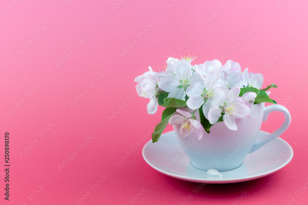 White spring apple tree blooming flowers in a cup White spring apple tree blooming flowers in a cup