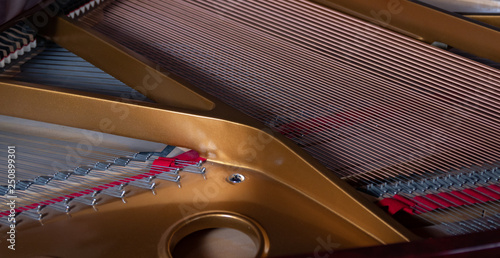 Canvas Print the harp of a grand piano