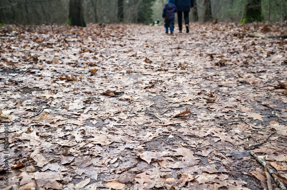 Forest road is littered with dry, brown, last year’s leaves, in the background mother and child are walking, holding hands, among trees, on a spring day. Forest road is littered with dry, brown, last year’s leaves, in the background mother and child are walking, holding hands, among trees, on a spring day.