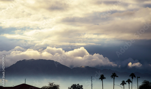 Morning mountain scene in the silhouette palm Arizona, USA