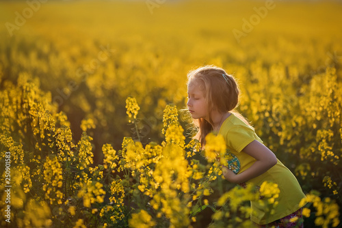 little girl in a blooming field