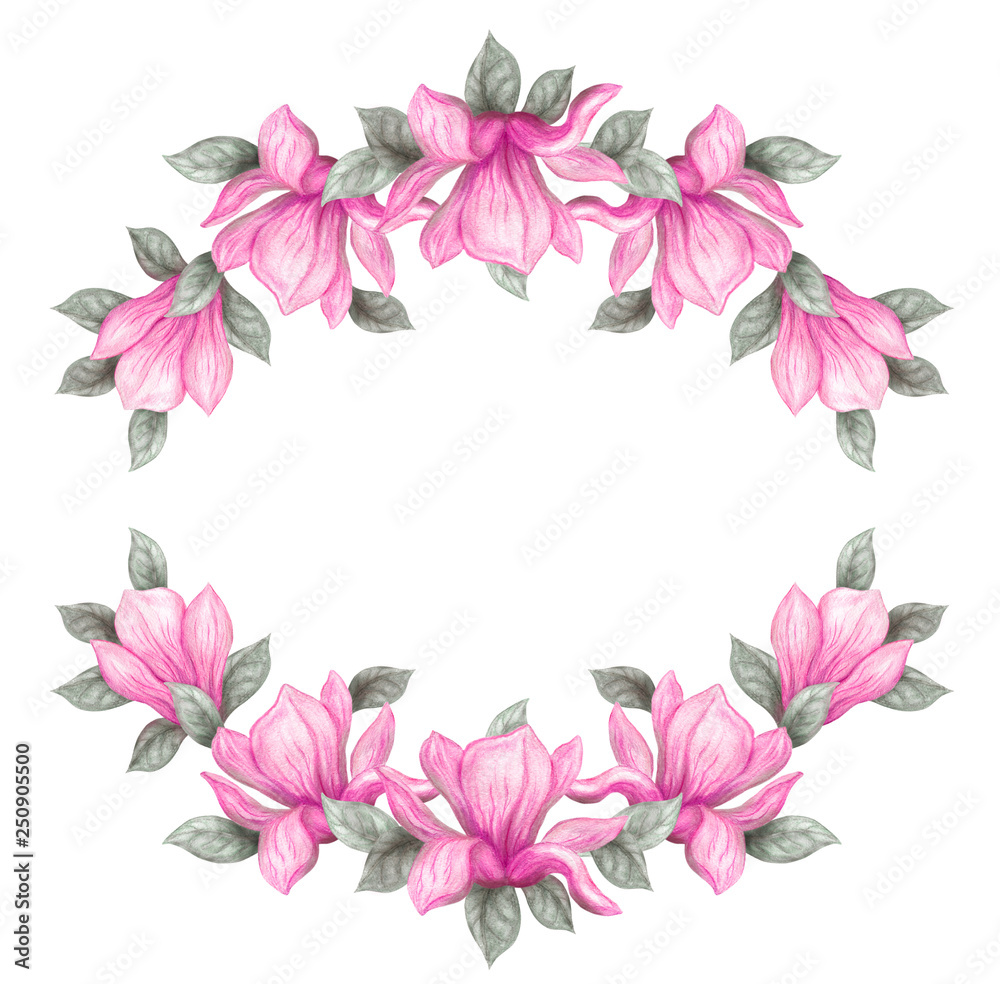 Hand drawn painting watercolor pencils and paints pink magnolia flowers isolated on white background