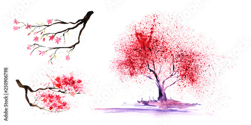 Set of thtree eelements. Abstract color-tree and branches with a magnificent crown. Hand-drawn watercolor illustration.