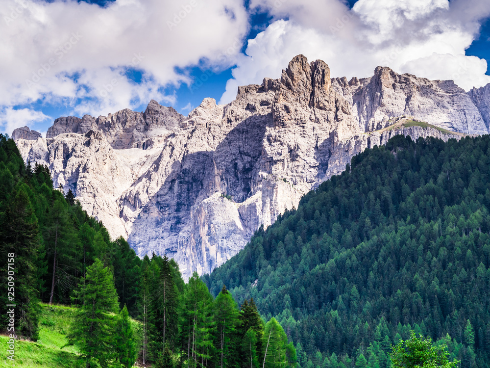 amazing view of the rocky Dolomites mountains and the green woods of Trentino Alto Adige in Italy with cloudy skies in summer during the holidays