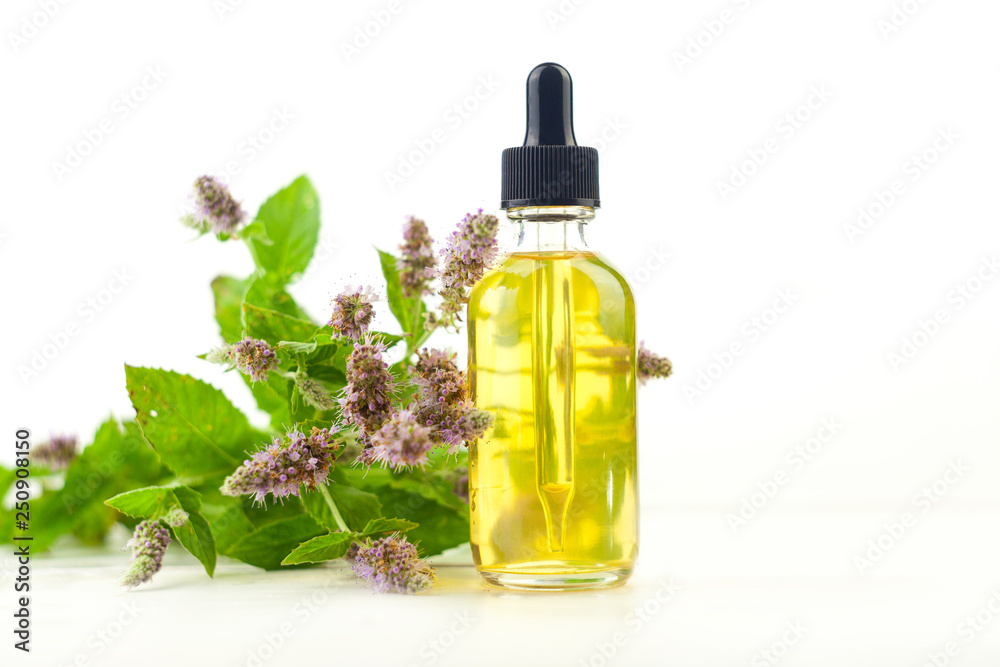 mint essential oil in beautiful bottle on White background mint essential oil in beautiful bottle on White background