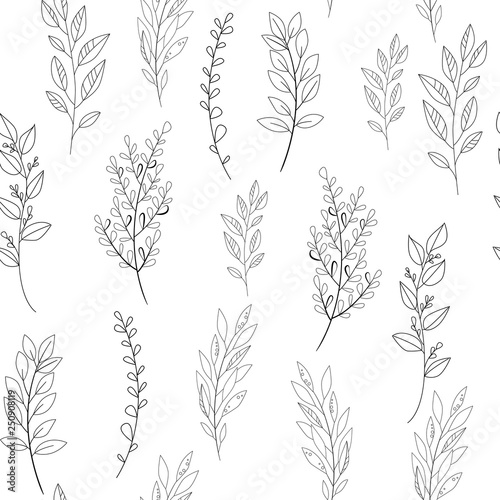 Vector flower black-white pattern. Seamless botanic texture, detailed flowers illustrations. Floral pattern in doodle style, spring floral background.