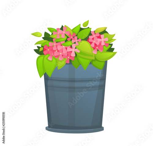 Pink Flower with green leaf in metallic bucket pot. - Vector