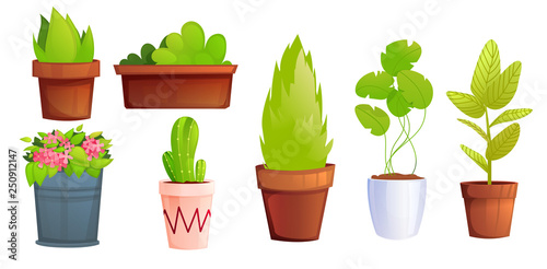 Landscape garden potted plants with pink flowers and cactus. Vector cartoon illustration