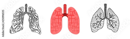 drawing of a human lung doodle sketch flat style