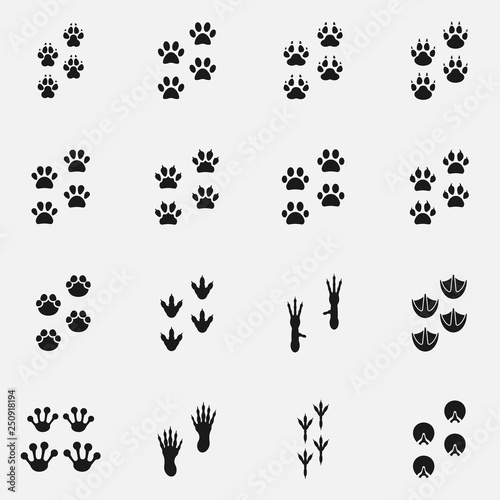 Set of paw print icons. Includes such footprints as dog, cat, bird and other.