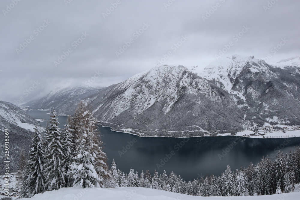 Fototapeta premium winter in the mountains