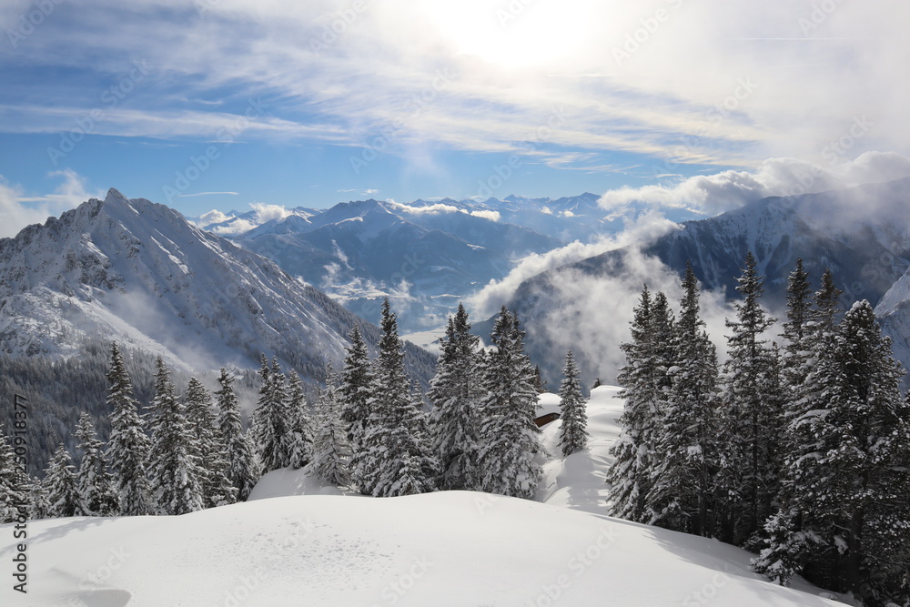 Fototapeta premium winter landscape with mountains and trees