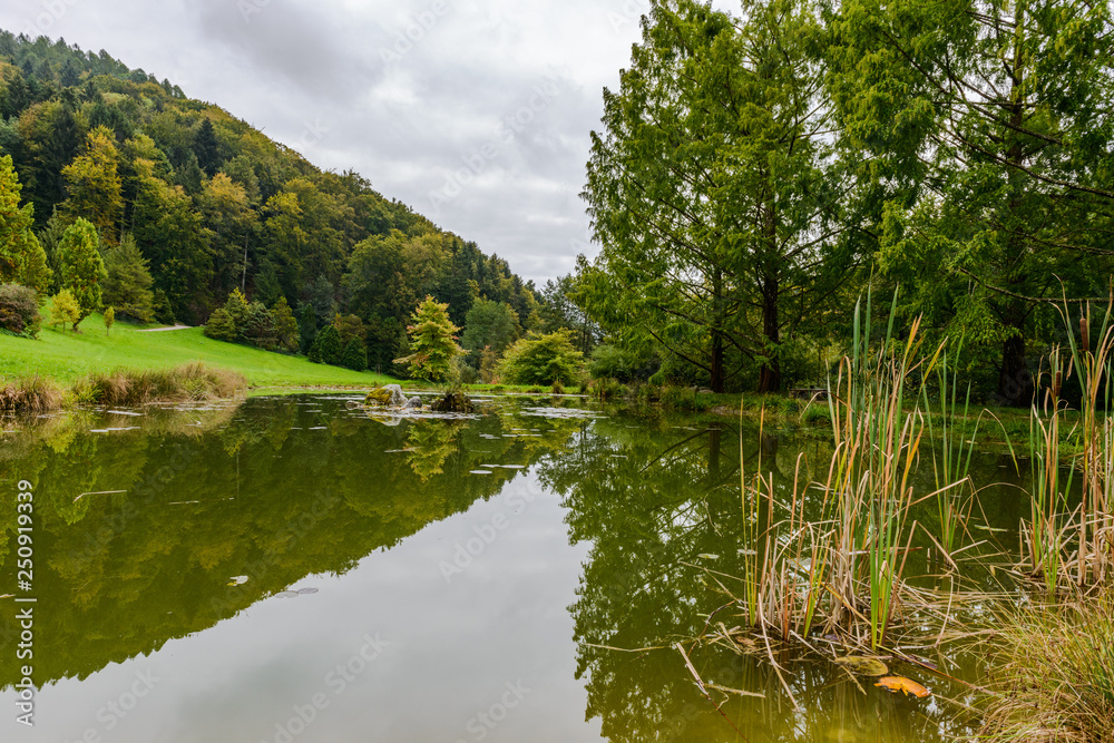 A beautiful pond in the arboretum of Aubonne, Switzerland in the autumn season. A beautiful pond in the arboretum of Aubonne, Switzerland in the autumn season.