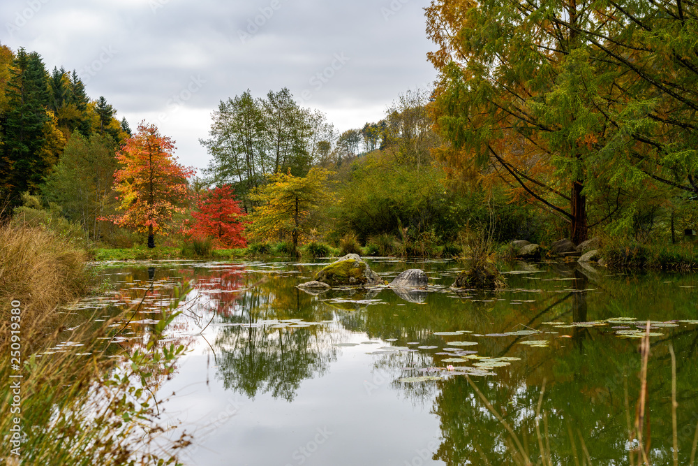 A beautiful pond in the arboretum of Aubonne, Switzerland in the autumn season. A beautiful pond in the arboretum of Aubonne, Switzerland in the autumn season.