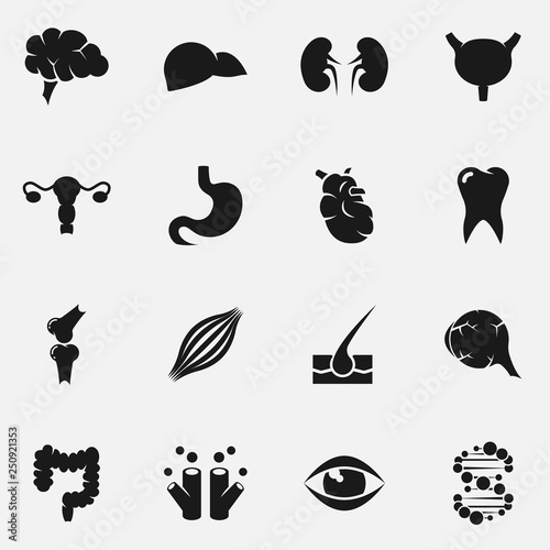Set of internal organs vector icons.