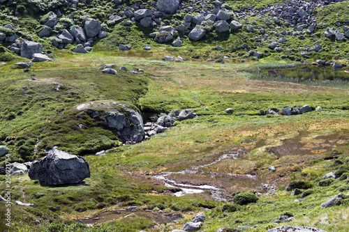 Hiking through the boggy moor in the highlands along Lysefjord, on the way to Kjeragbolten in Rogaland region, Norway