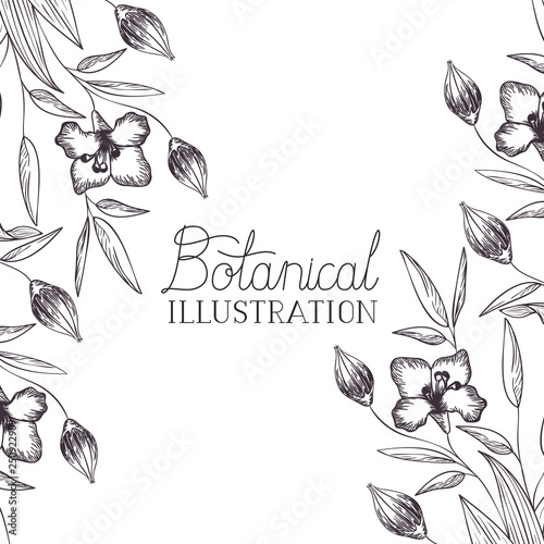 botanical illustration label with plants