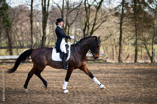 Dressage rider dressed in a tuxedo with cylinder, photographed on the horse in the trot reinforcement from the side, that horse stretches the front leg forward.