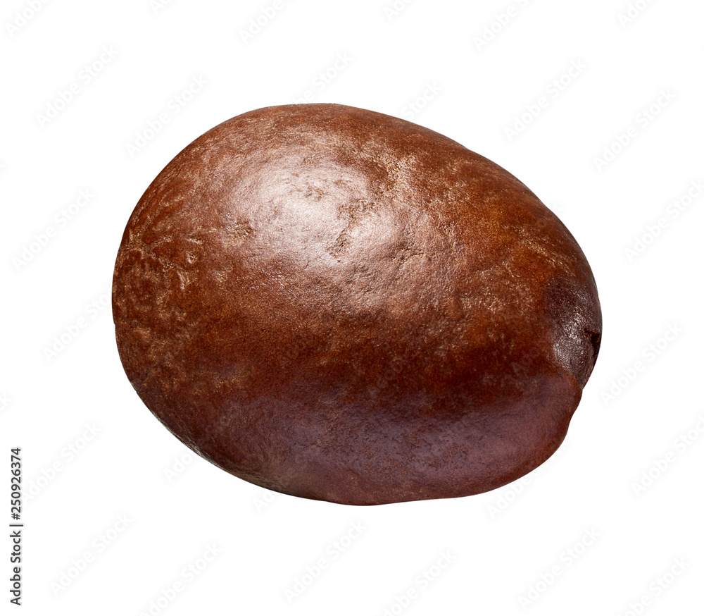 coffee bean brown roasted caffeine espresso seed coffee bean brown roasted caffeine espresso seed