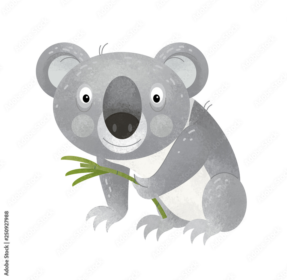 Fototapeta premium cartoon scene with happy and funny koala on white background - illustration for children