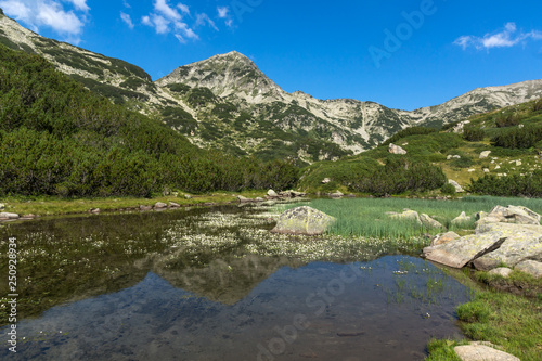 Summer landscape of Mountain river and Hvoynati peak, Pirin Mountain, Bulgaria photo