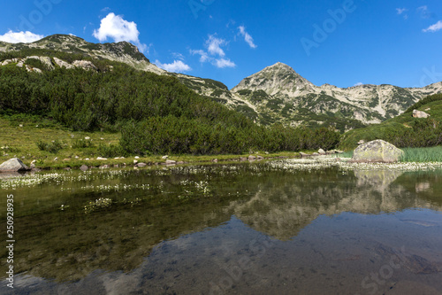 Summer landscape of Mountain river and Hvoynati peak, Pirin Mountain, Bulgaria photo