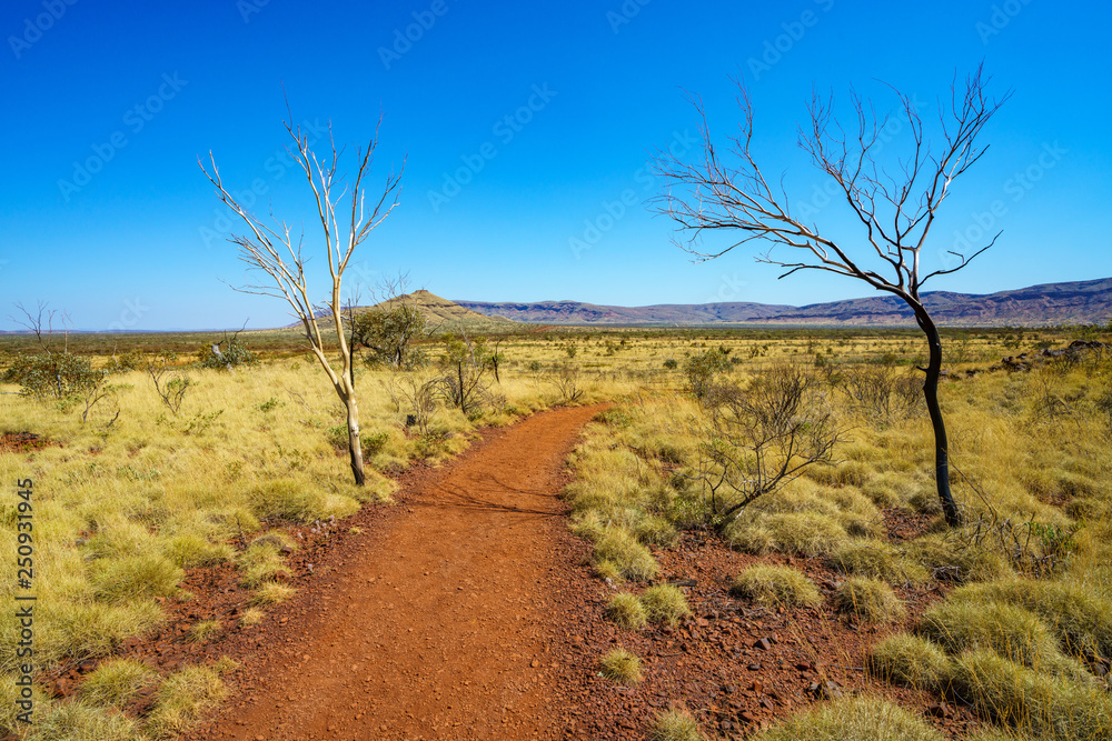 hiking on mount bruce in karijini national park, western australia 1 hiking on mount bruce in karijini national park, western australia 1