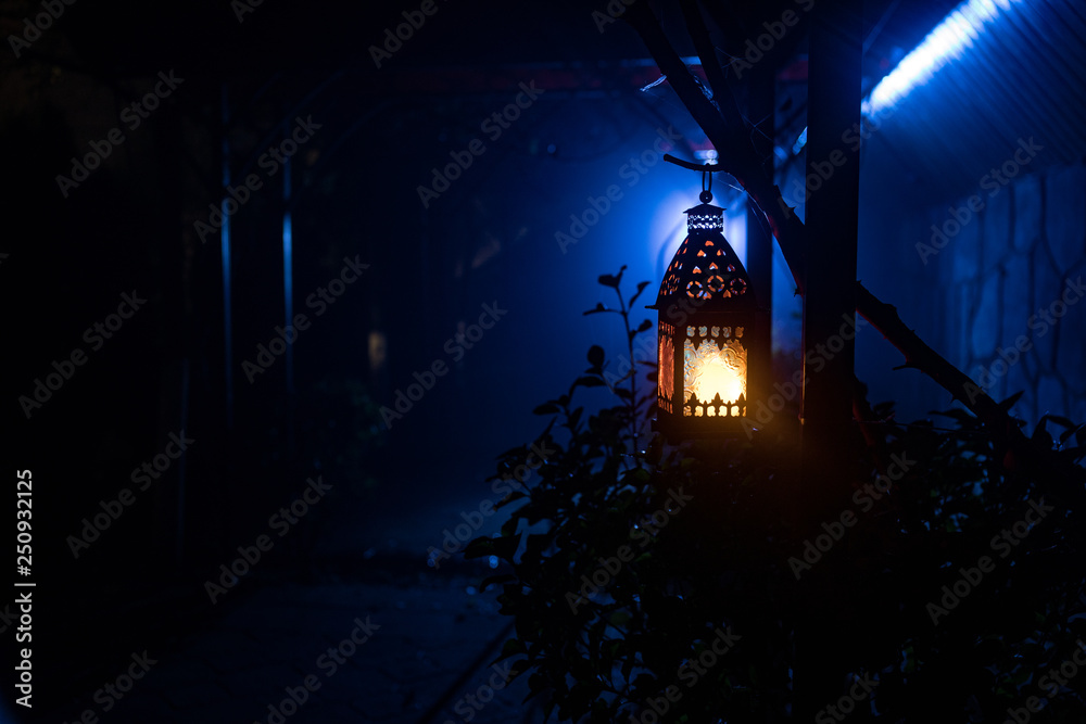 Fototapeta premium Beautiful colorful illuminated lamp in the garden in misty night. Retro style lantern at night outdoor.