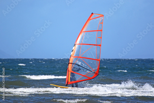Windsurfer on the sea