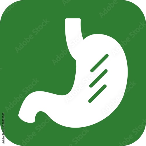 Vector Stomach Icon