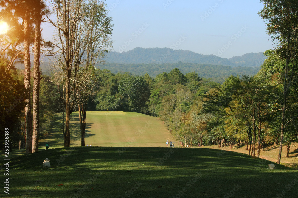 Obraz premium Background sunshine in the morning at beautiful golf course