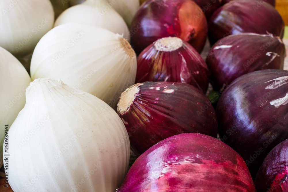 Cebolla morada y blanca - onions