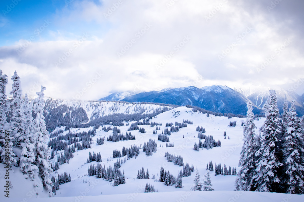Snowy Mountain in the Clouds with Trees