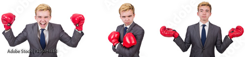 Young employee with boxing gloves isolated on white  © Elnur