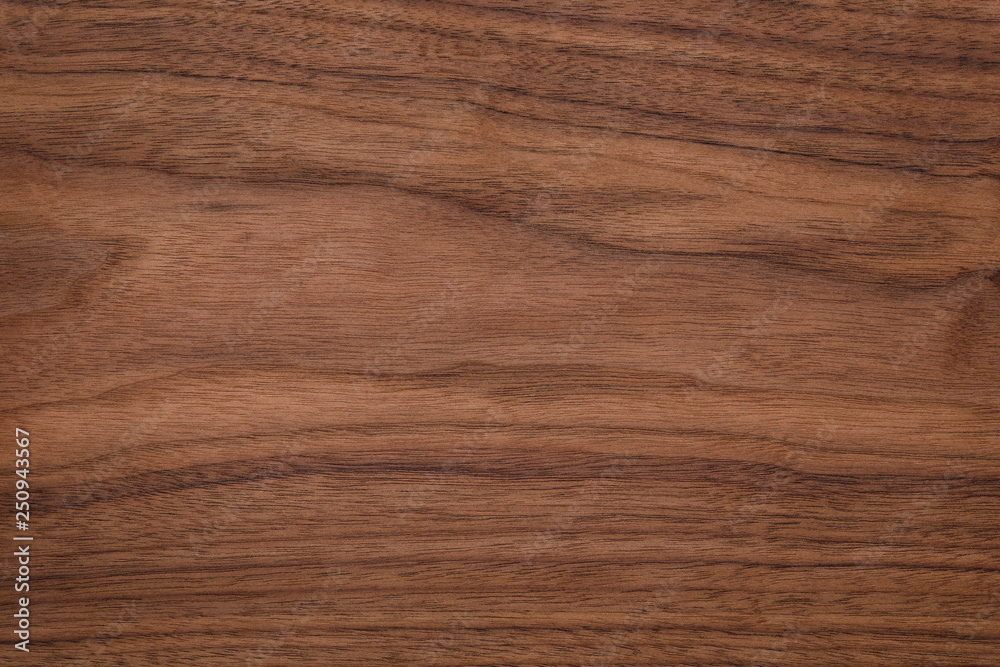 Walnut natural texture, texture elements, texture background Walnut natural texture, texture elements, texture background
