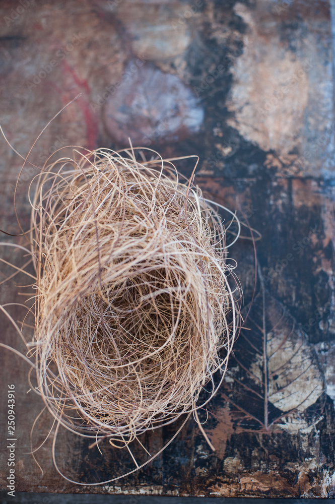 Bird Nest on leaf and earth grunge background Bird Nest on leaf and earth grunge background