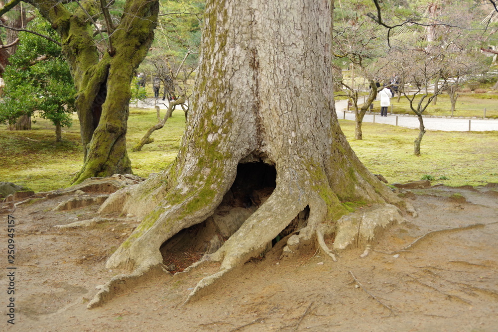 兼六園 兼六園