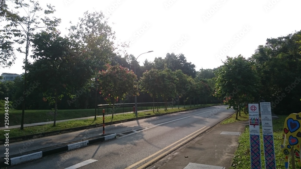 Beauty Of Bukit Timah Nature Reserve Singapore Beauty Of Bukit Timah Nature Reserve Singapore