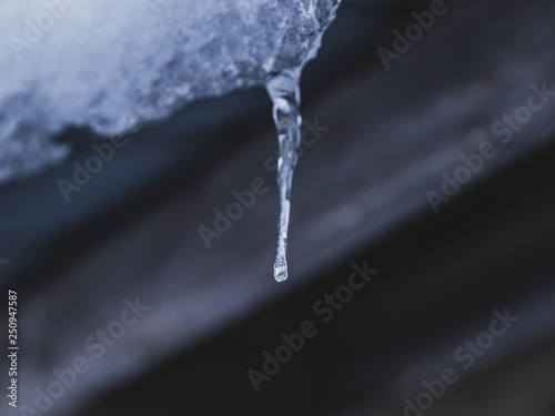 icicles hanging from roof of a sugar house, Black Forest, Canada