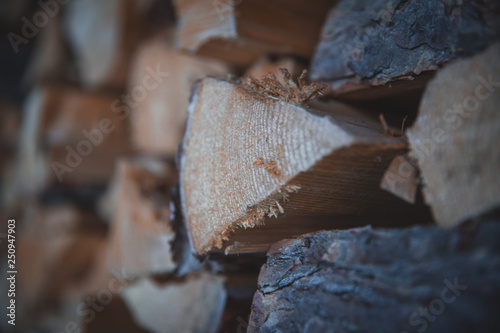 Pile of wooden log, Black Forest, Canada