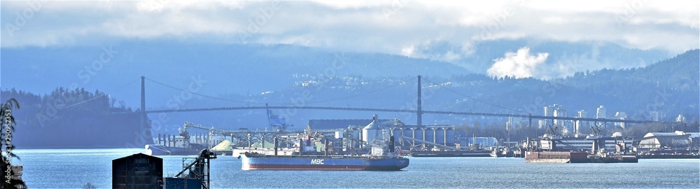 Lions Gate Bridge ライオンスゲイトブリッジ Lions Gate Bridge ライオンスゲイトブリッジ