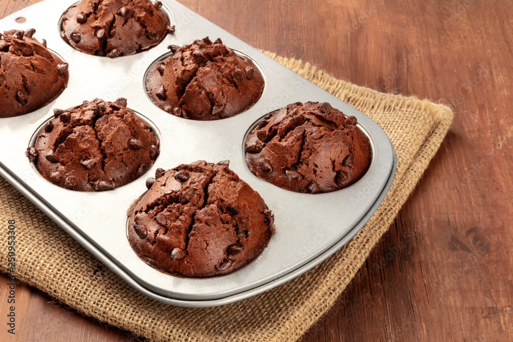 A closeup photo of chocolate chip muffins in a baking mold on a dark rustic wooden background A closeup photo of chocolate chip muffins in a baking mold on a dark rustic wooden background