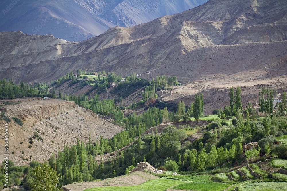 Sham Valley Trek Through the the Himalayas in Ladakh, Northern India 