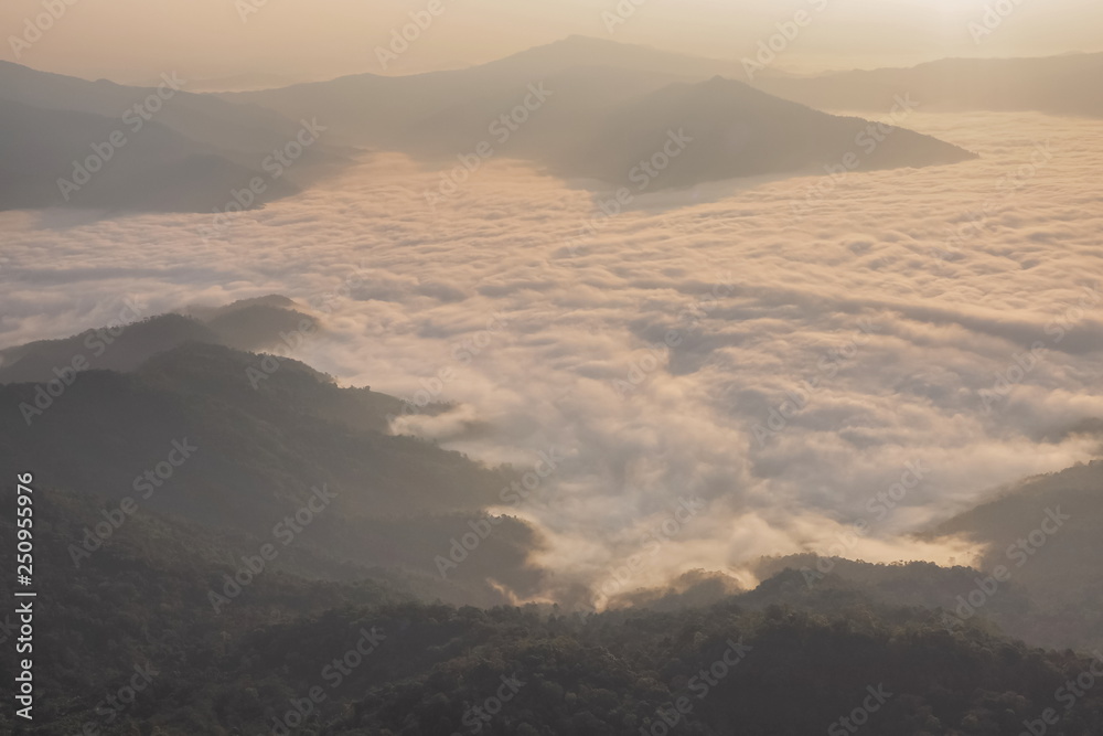 sunrise at Doi Pha Tang, beautiful mountain view morning panorama 180 degree of top hill around with sea of mist with yellow sun light and cloudy sky background, Chiang Rai, Thailand.