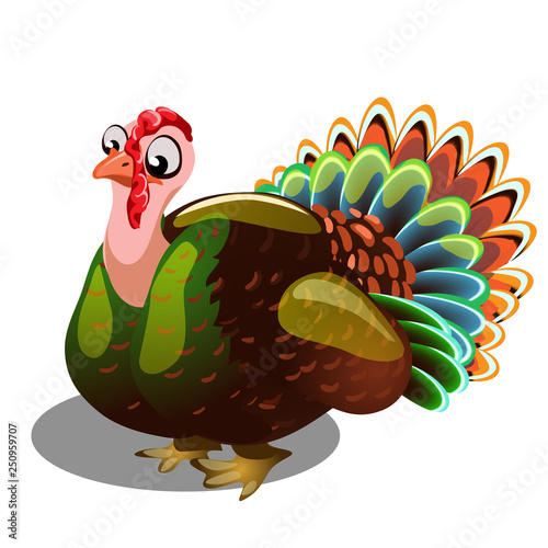 Fat gobbler isolated on white background. Vector cartoon close-up illustration.