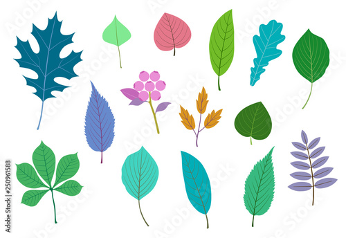 Leaf and fruit illustration set