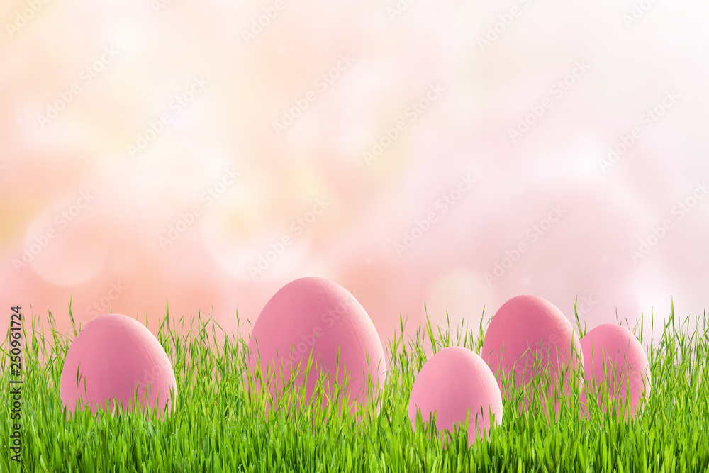 Pink eggs on easter holiday background